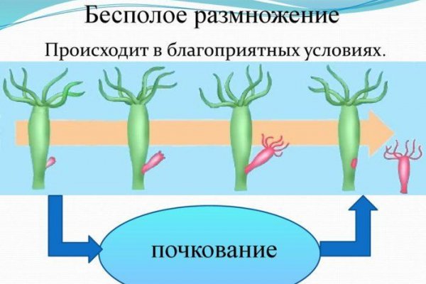 Как заказать на кракене