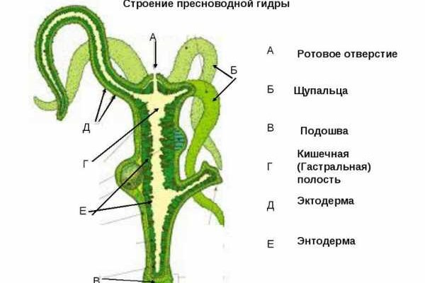 Как попасть на сайт кракен